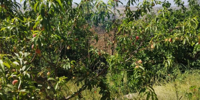 20250708124817-965771-3