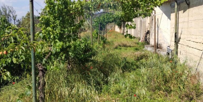 20250708124820-965771-4