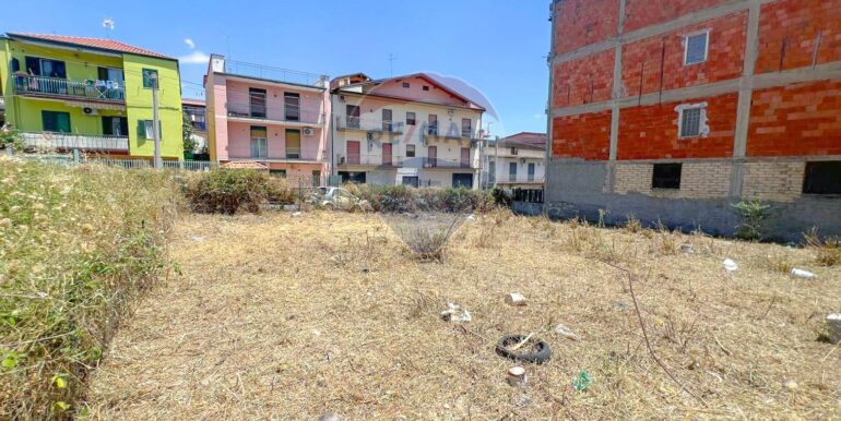 20250712111003-966485-1