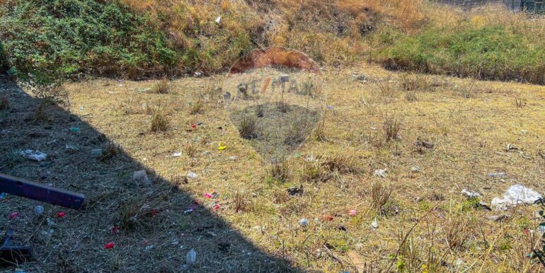 20250712111019-966485-5