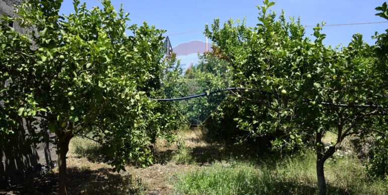 20250714105013-965779-3