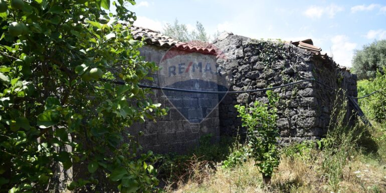 20250714105018-965779-4