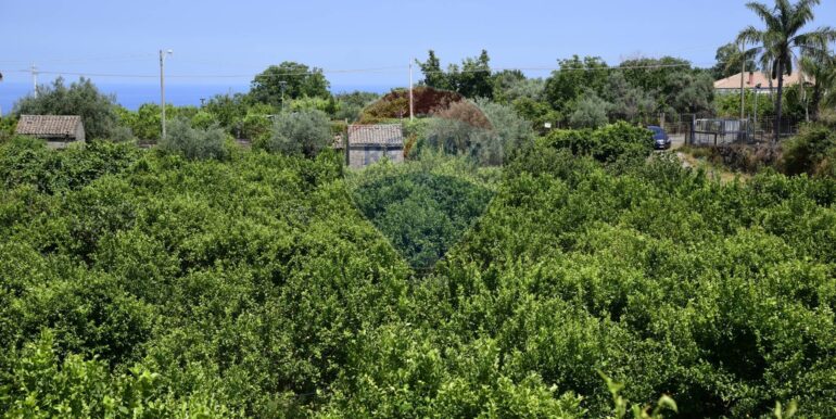 20250714105255-965779-49