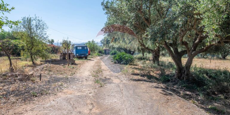 20250714194806-964229-19