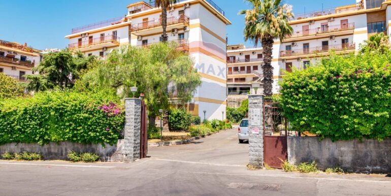 2025071782156-967096-1