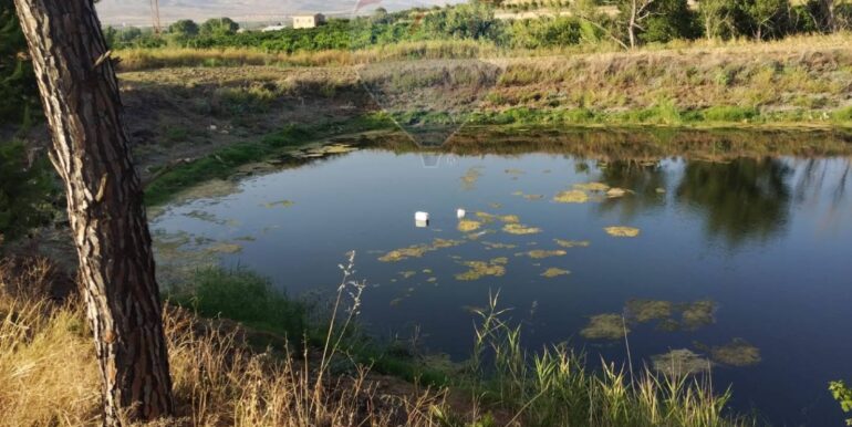 20250722200644-969714-1