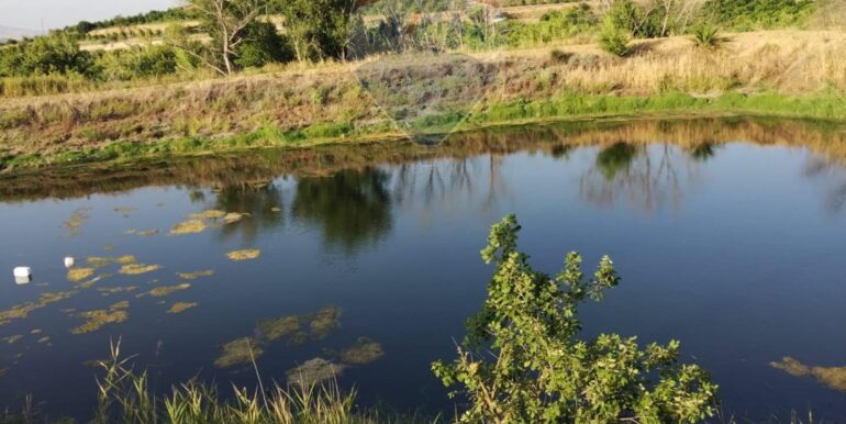 20250722200649-969714-2