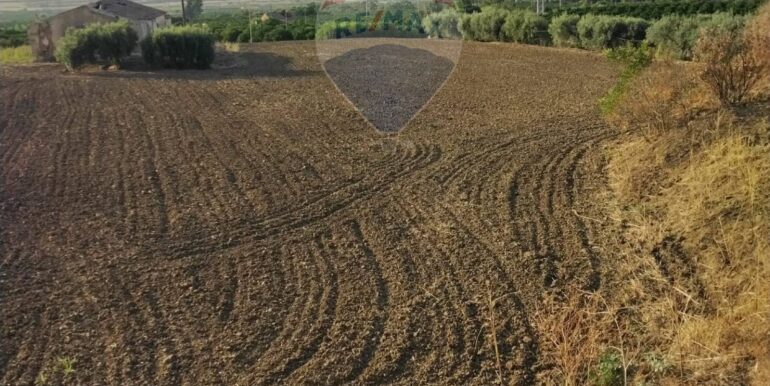 20250722200708-969714-7