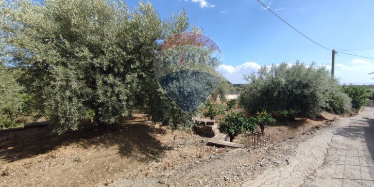 20250729174616-972374-14