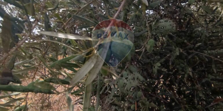 20250729174632-972374-18