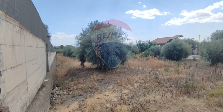 20250729174636-972374-19