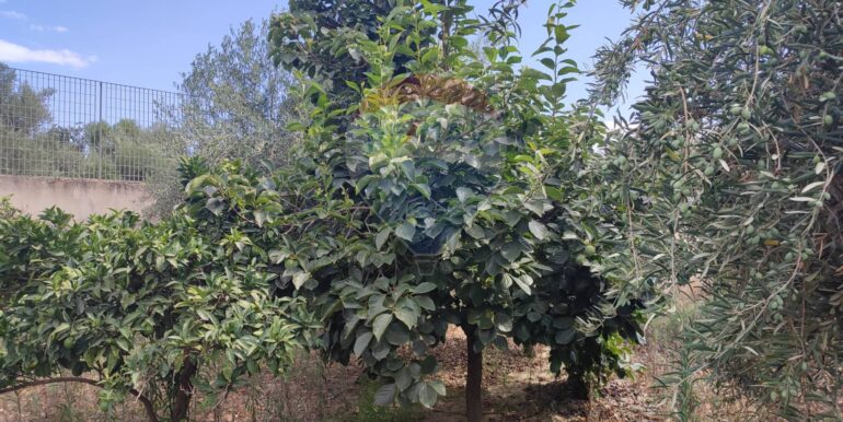 20250729174647-972374-22