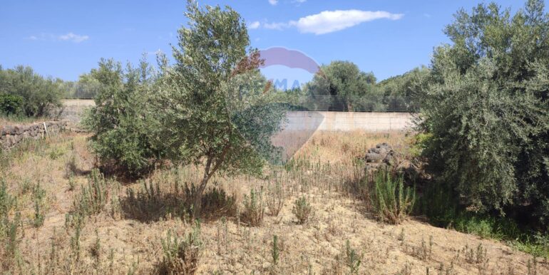 20250729174655-972374-24