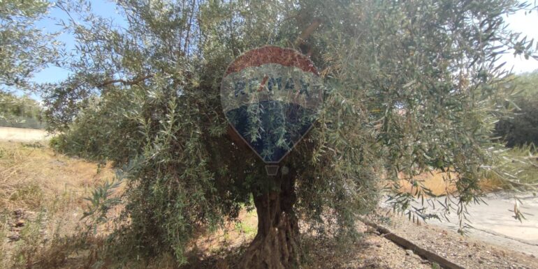 20250729174659-972374-25