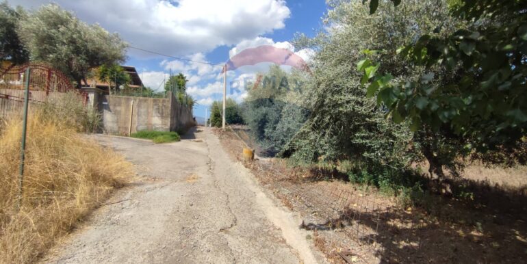 20250729174715-972374-29