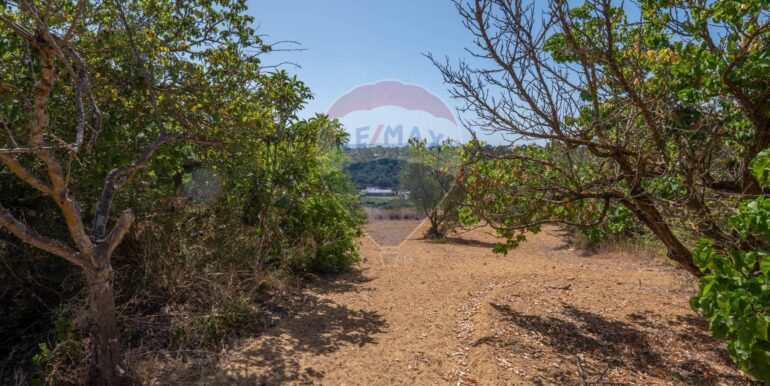 20250730172230-972542-5