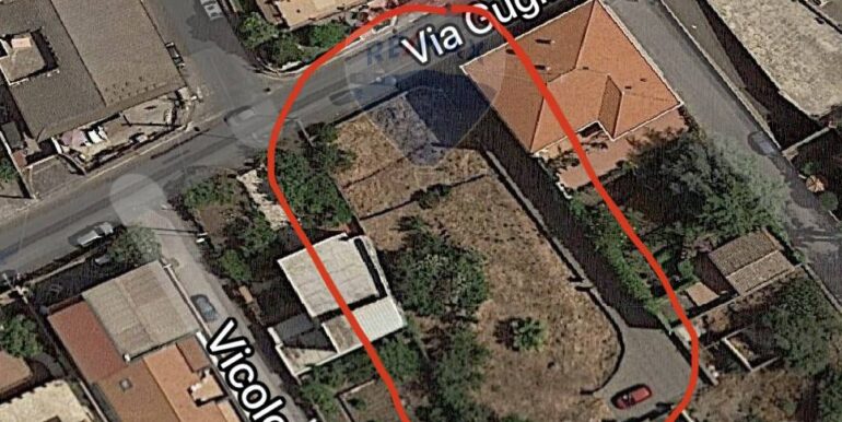 20250801100235-972938-0