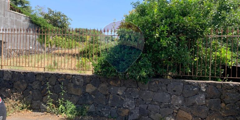 20250801100236-972938-6