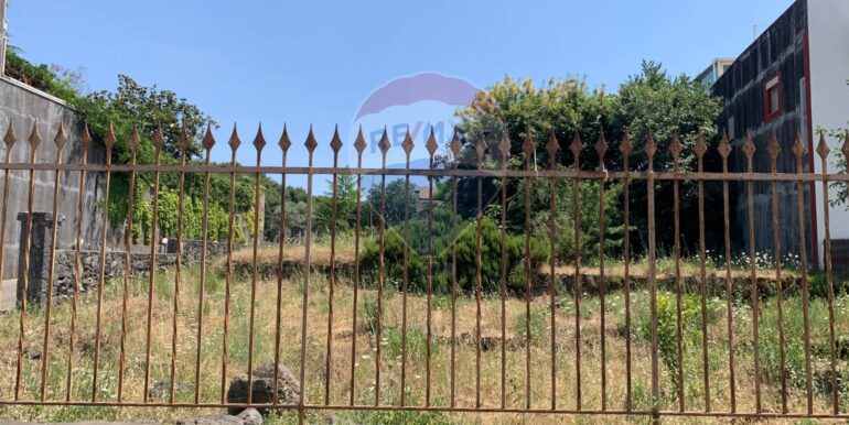 20250801100236-972938-7