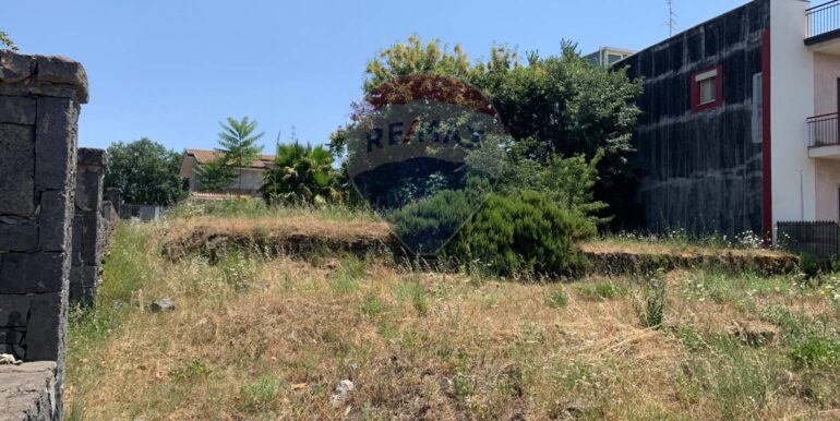 20250801100237-972938-10