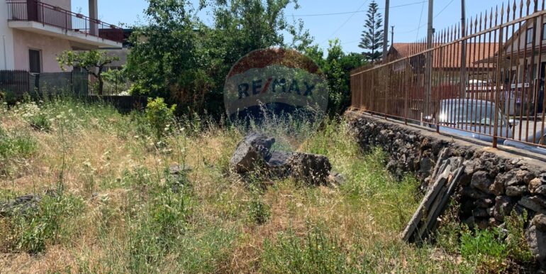 20250801100238-972938-12