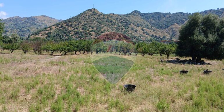 20250804174207-973175-3