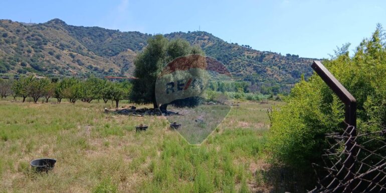 20250804174214-973175-6