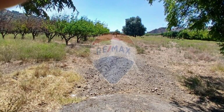 20250804174216-973175-7