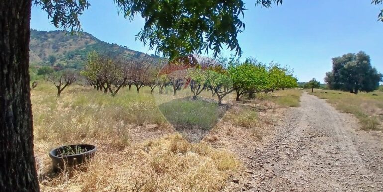 20250804174219-973175-8