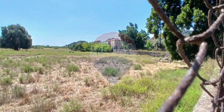 20250804174221-973175-9