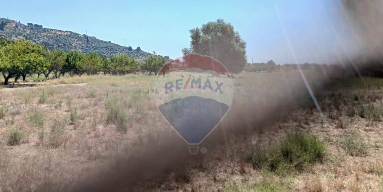 20250804174225-973175-11