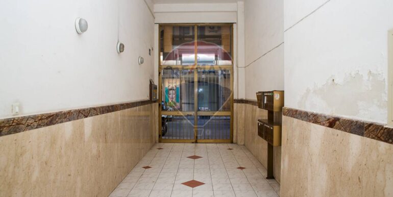 20250806225001-974014-5