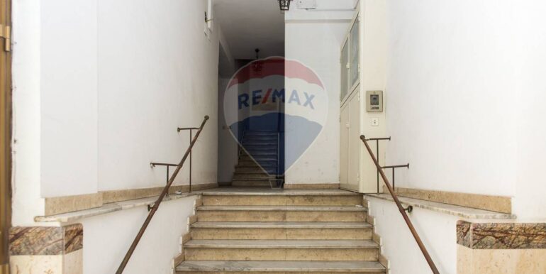 20250806225004-974014-6