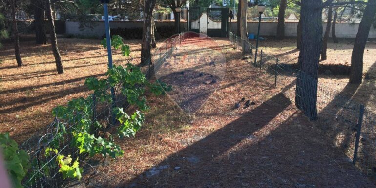 20250822111949-974236-1