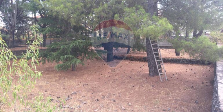 20250822111954-974236-3