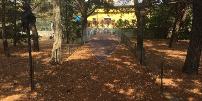 20250822112000-974236-5