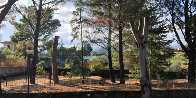 20250822112006-974236-7