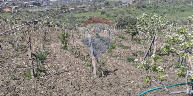 2025082694611-975707-3