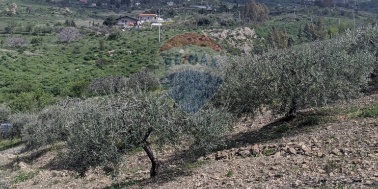 2025082694619-975707-5