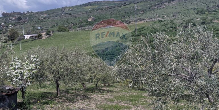 2025082694626-975707-7