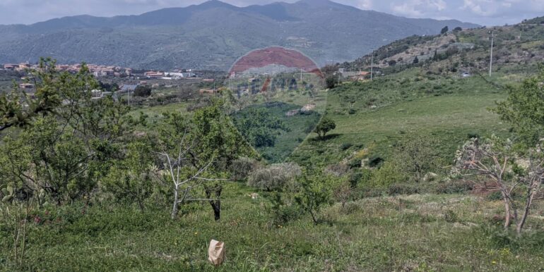 2025082694629-975707-8