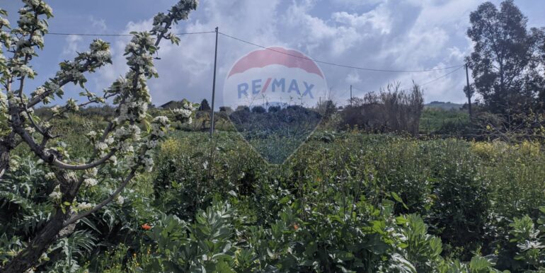 2025082694636-975707-10