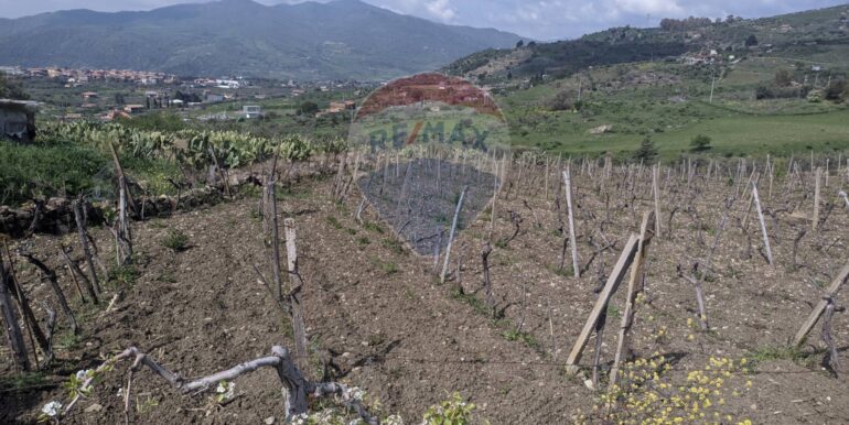 2025082694640-975707-11