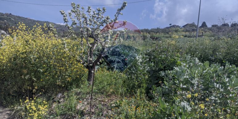 2025082694644-975707-12