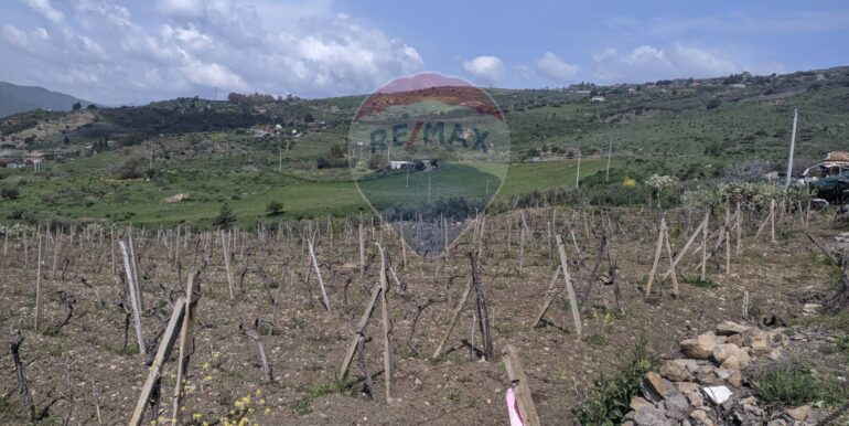 2025082694648-975707-13