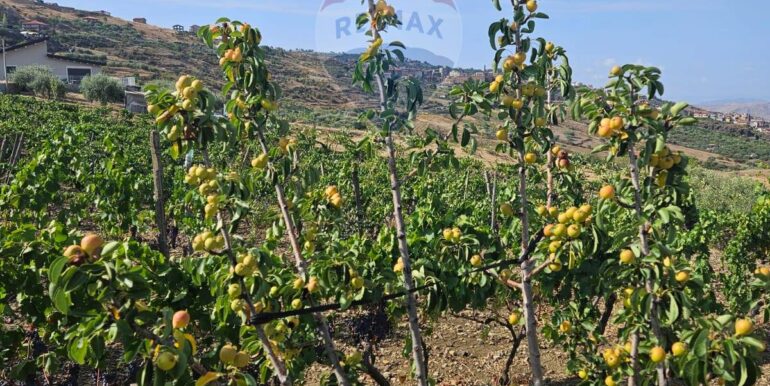 2025082694651-975707-14