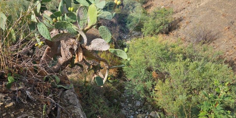 2025082694657-975707-16