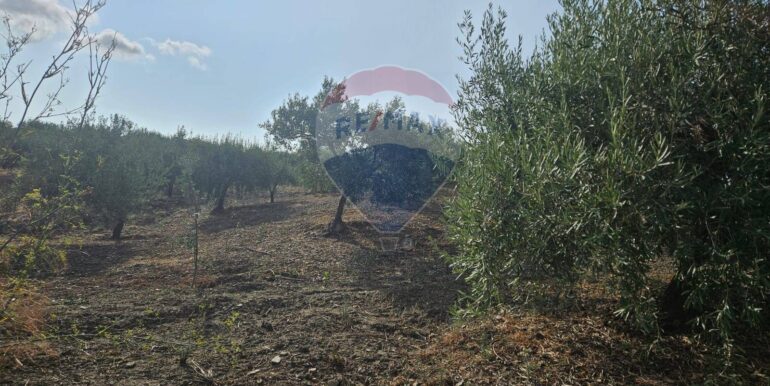 2025082694711-975707-20