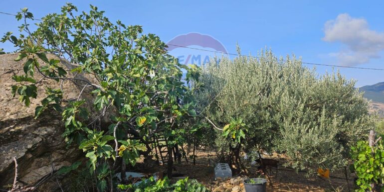 2025082694714-975707-21