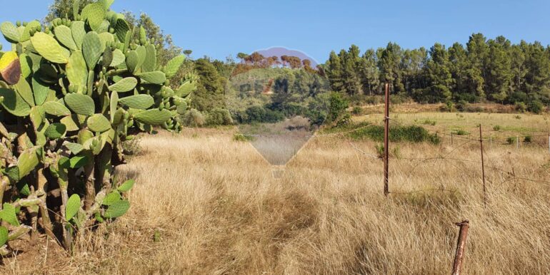 20250828195723-975849-1